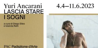 Lascia stare i sogni mostra