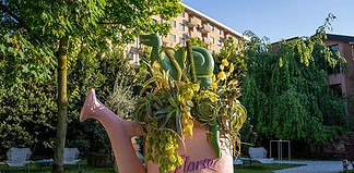 mostra dedicata agli insetti impollinatori