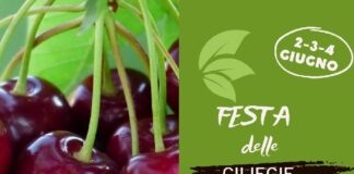 Festa delle ciliegie a Bareggio