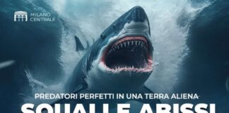 Squali e Abissi mostra