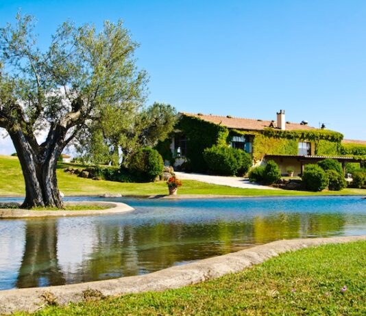 10 agriturismi vicino a Milano da visitare in meno di un'ora