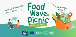 Food Wave Picnic