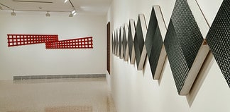 Mostra gratuita di Mario Nigro
