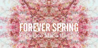 Forever Spring mostra