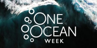 One Ocean Week 2023