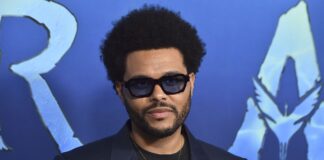 The Weeknd concerto