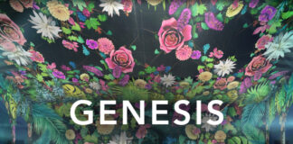 Genesis spettacolo di luci immersivo