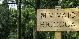 bicocca