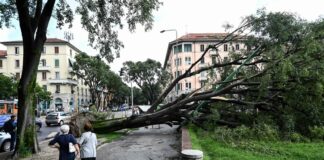 chiusi i parchi per 30 giorni