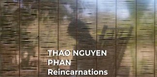 Reincarnations of Shadows
