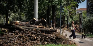 riaprono i primi parchi dopo il nubifragio
