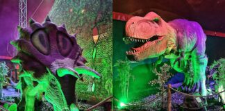 Dinosauri-in-citta-Milano