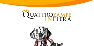 Quattro-zampe-in-fiera-Milano-La-fiera-dedicata-agli-amici-a-4-zampe