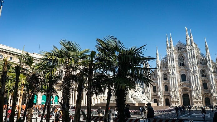 Addio palme in piazza Duomo