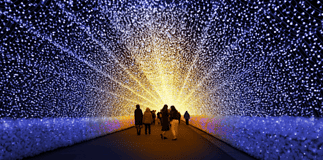 TRAME DI LUCE 2023 villa reale monza