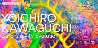 Zero Gravity Evolution