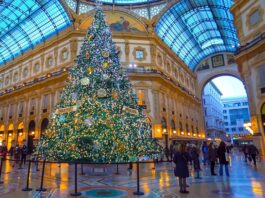Milano si illumina di festa: record di 22 alberi