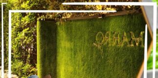 marro garden 2024
