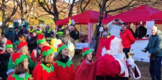 Natale nel Bosco