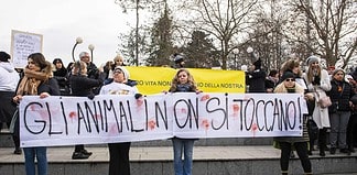 Corteo animalista