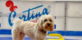 Chico a Milano-Cortina 2026