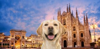 città più pet-friendly d'Italia