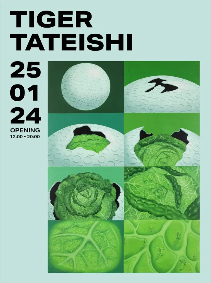 tiger-tateishi