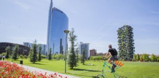 Dubai International Best Practices Award for Sustainable Development