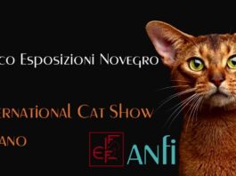 International Cat Show Milano