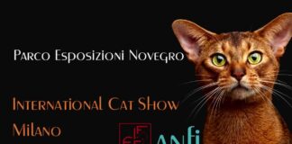 International Cat Show Milano
