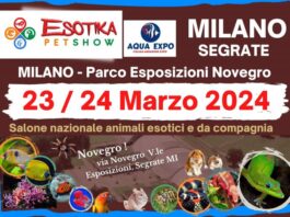 Esotika Pet Show Milano