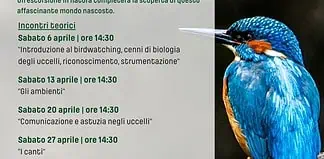 Birdwatching Milano