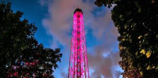 torre branca fuorisalone 2024