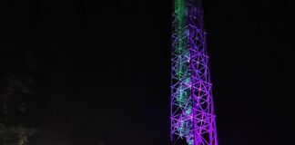 torre branca milano