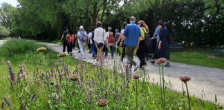 festival-del-social-walking-2024