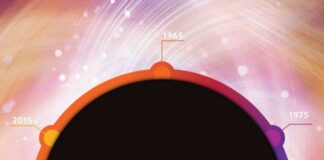 Pink Floyd History