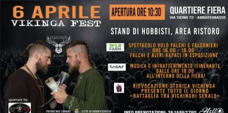 Vikinga Fest 2024