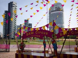 BAM Circus 2024