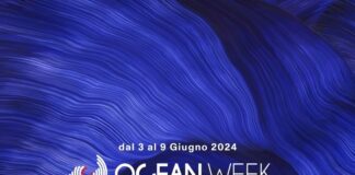 One Ocean Week 2024
