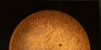 mostra di Armin Linke
