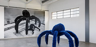 Mostra su Pino Pascali