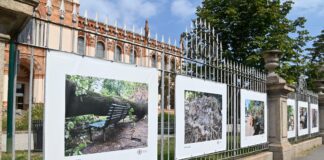 mostra nubifragio Milano