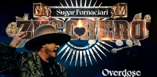 Zucchero concerto Milano