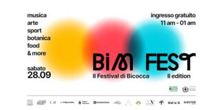 Bim Fest 2024