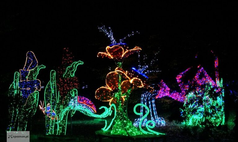 Scopri il Magico Mondo di Alice: Il Primo Lumina Park in Italia