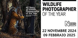 Wildlife Photographer of the Year 2024 