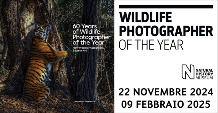 Wildlife Photographer of the Year 2024 