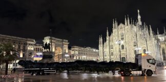 albero natale duomo 2023 - 2