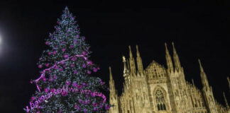 Albero di Natale 2024 in piazza Duomo