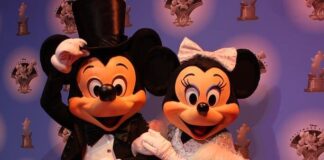 Il magico mondo di Disney concerto